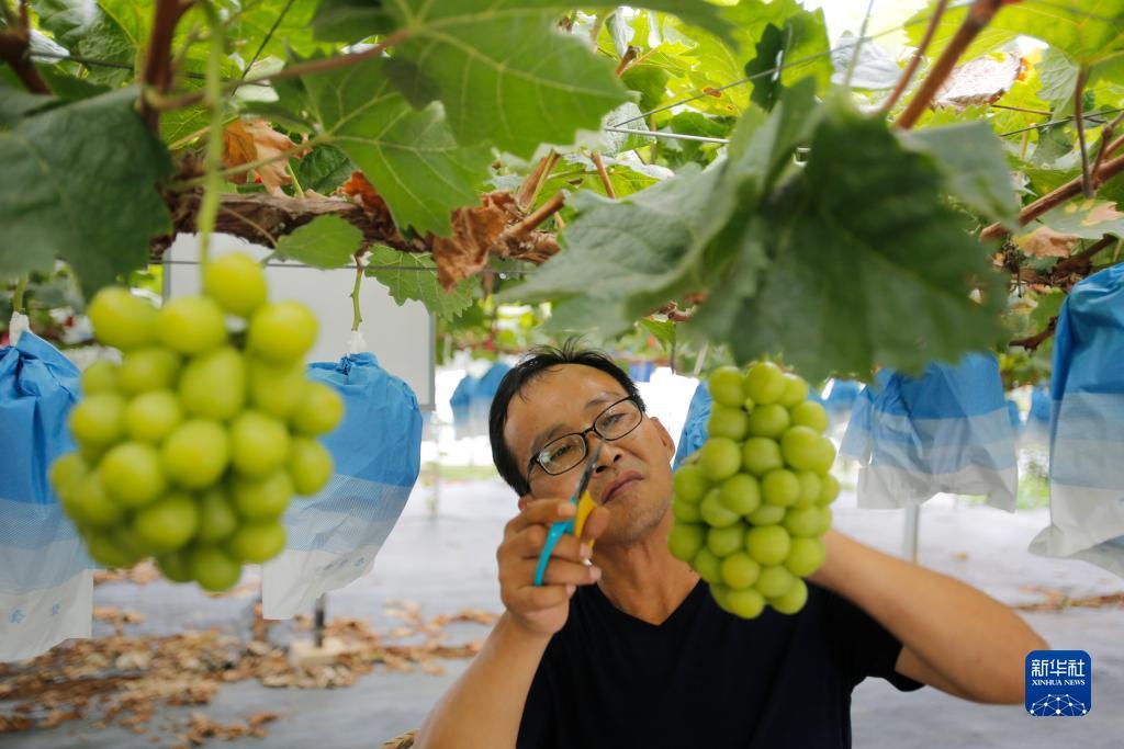 37游戏平台